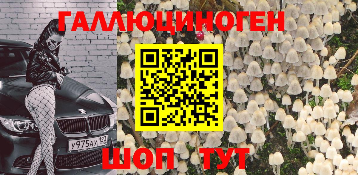Ахтубинск  Галлюциногенные грибы GOLDEN TEACHER  Вход с VPN 